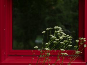 07 2024 Bildbesprechung 07 C W.Kleinoeder 2022  2722